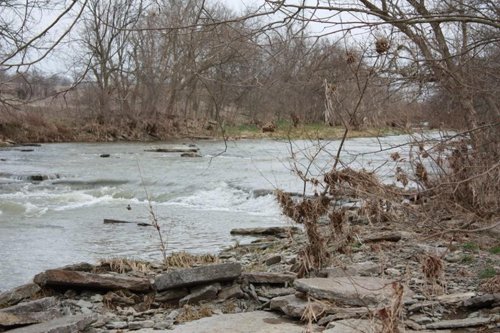 Property photo 1 - ABSOLUTE AUCTION - 298 Acres Offered in 4 Tracts